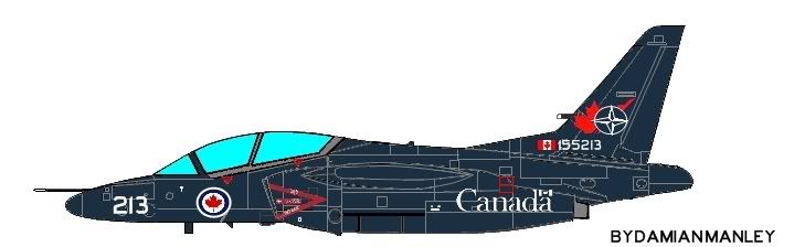 T-4CAF.jpg