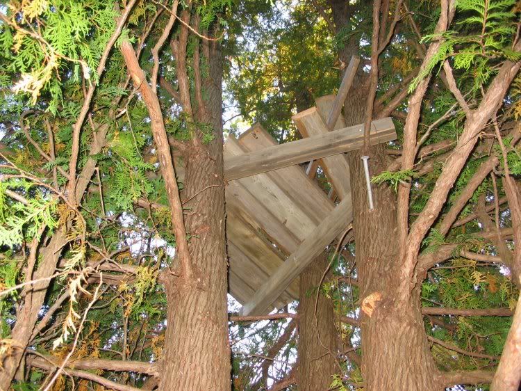 PDF DIY Wooden Tree Stand Building Download woodwork design plans