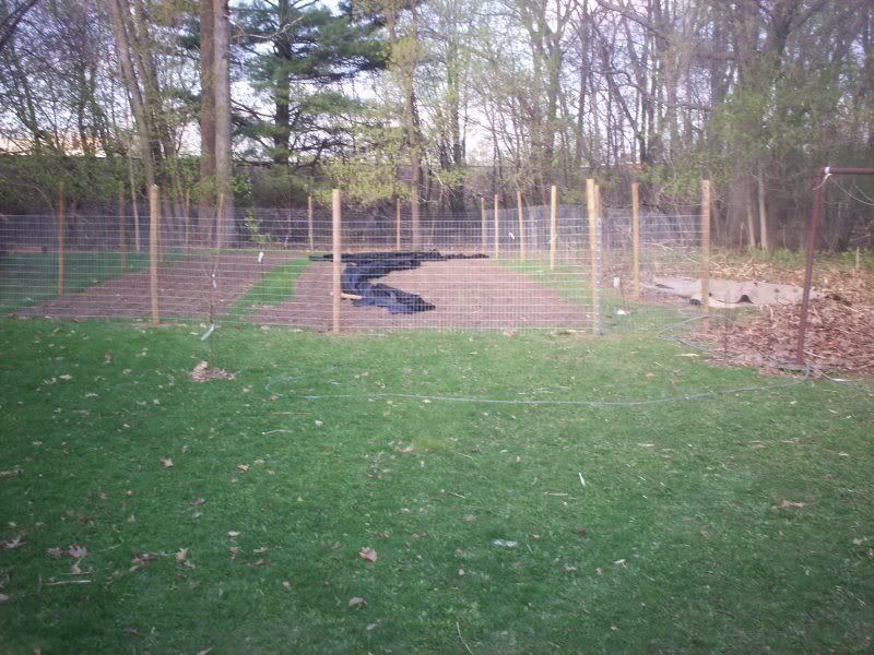 Garden fencing - Gardening & Plant Propagation