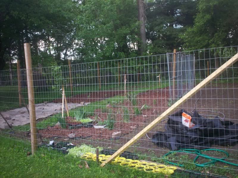 Garden fencing - Gardening & Plant Propagation