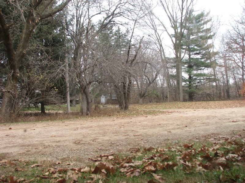 Pictures around your Homestead - Homesteading Questions