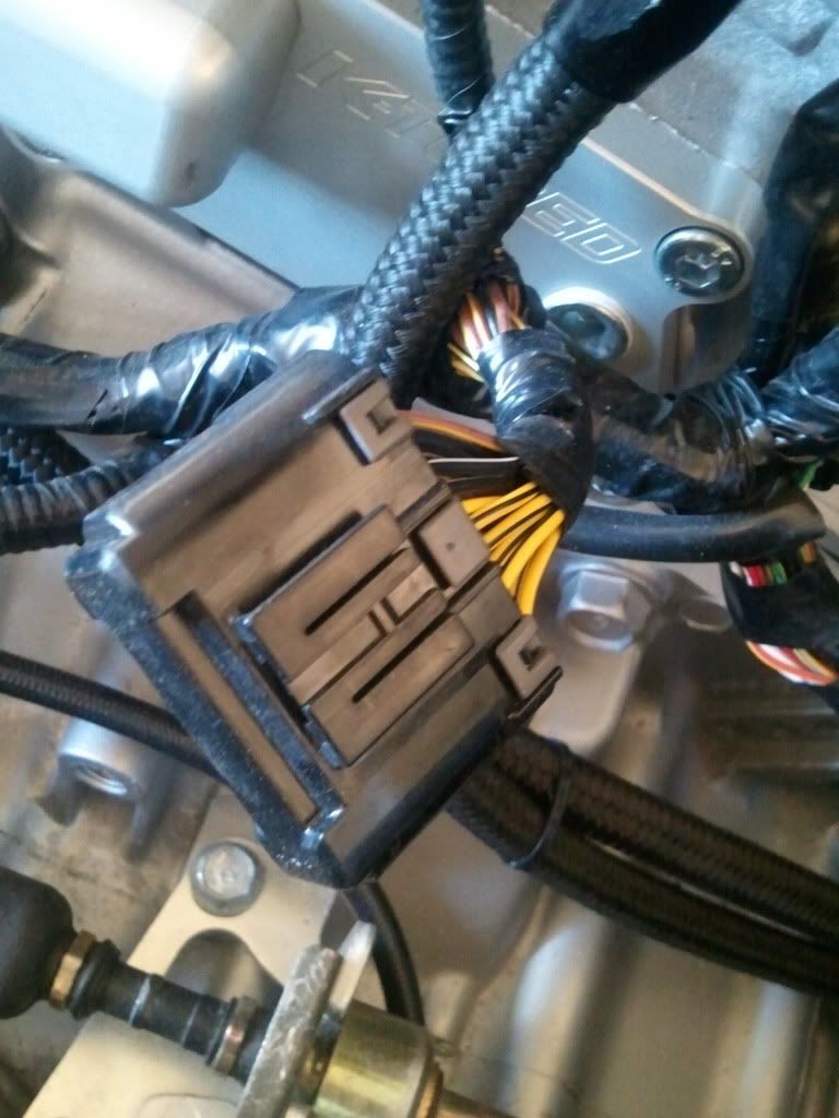 engine harness wire tuck anyone? Honda / Acura K20a K24a Engine Forum