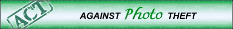 88 x 31 Banner