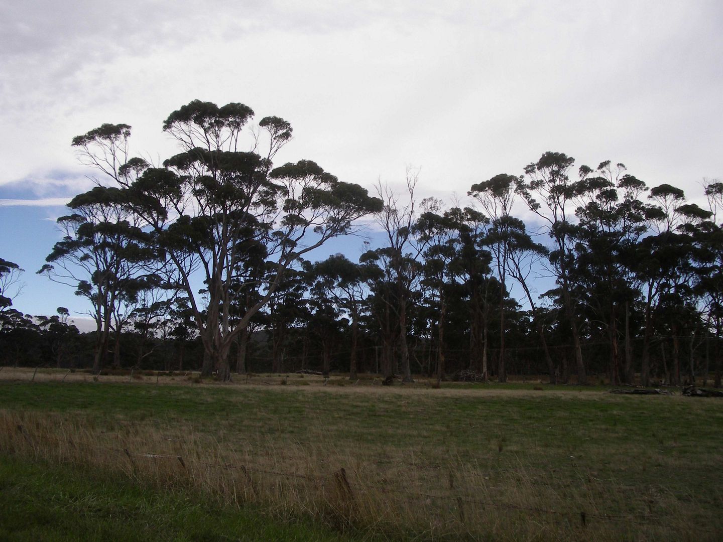 http://i22.photobucket.com/albums/b305/FLIEGER67/AUS1301/AUS1301PART1384_zps6143d9f0.jpg