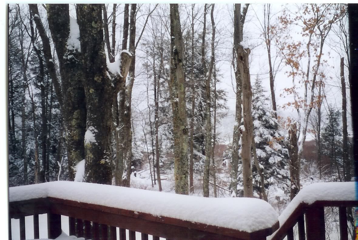 snow in poconos Pictures, Images and Photos