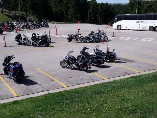 DSCF0596-1.jpg
