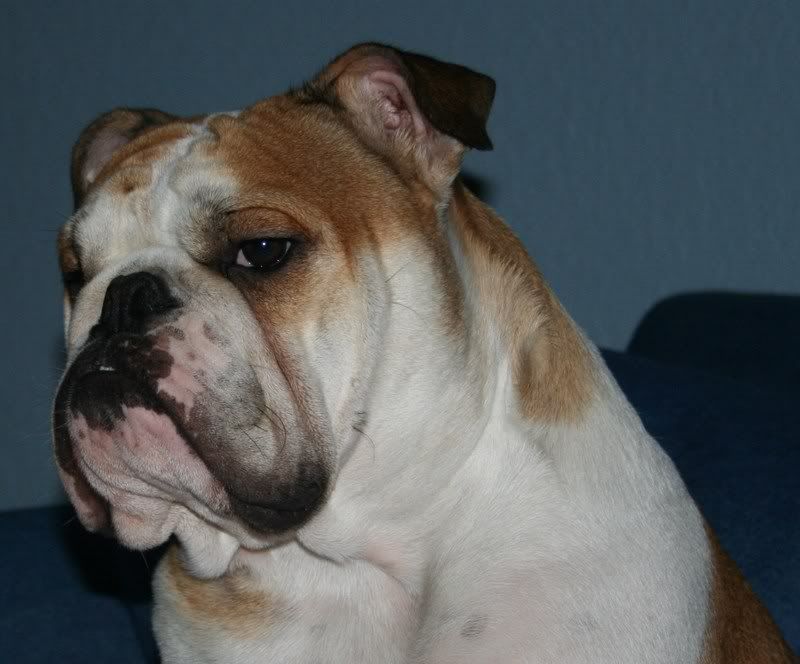 IMAGE: http://i22.photobucket.com/albums/b306/mouse_823/033.jpg