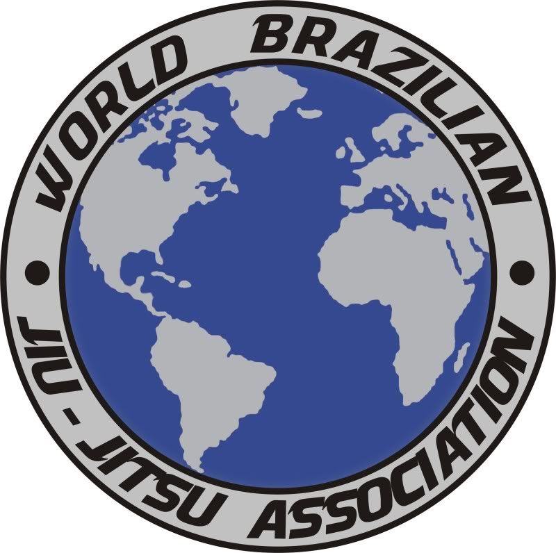 brazilian jiu jitsu theory technique