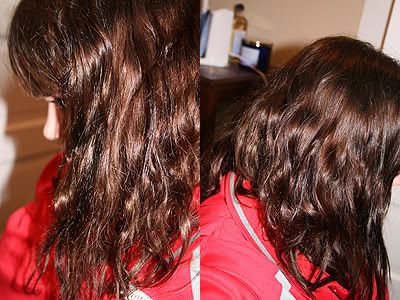 The Long Hair Community Discussion Boards