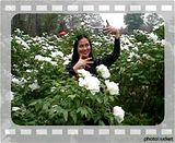 MiniDanceGood.flv Mini video by reallysadgit