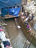 ClearingtheStream.jpg image by reallysadgit
