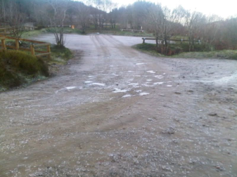 IMG00261-20101116-0857.jpg