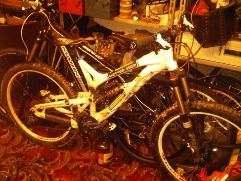 IMG00286-20101117-1939.jpg