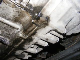 2006 Honda odyssey oil leak #1