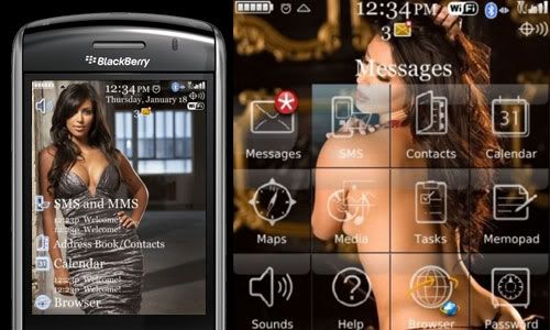 Free Blackberry Themes Download Storm