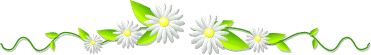 http://i22.photobucket.com/albums/b310/qizi7510/999.gif