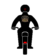 SingleF.gif SINGLE FILE image by scrc372