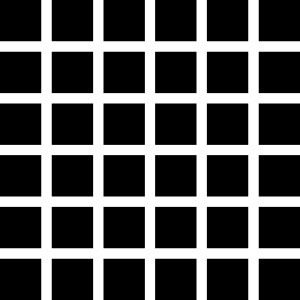 232Px-Hermann Grid Illusion.Svg