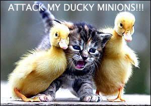 DuckyMinions.jpg