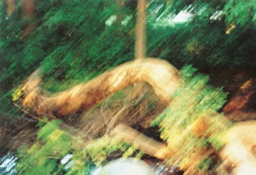 blurrylog.jpg