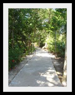 Walkways to common pool and tennis courts in Club Real