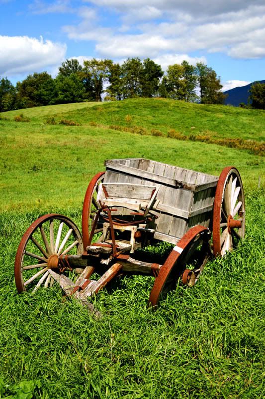 IMAGE: http://i22.photobucket.com/albums/b313/SRT101/AppleCart.jpg