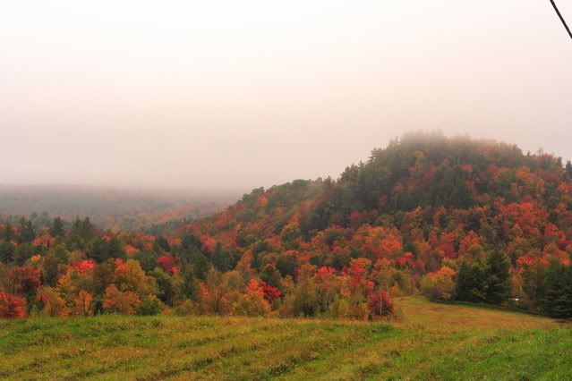 IMAGE: http://i22.photobucket.com/albums/b313/SRT101/Autum/IMG_9007.jpg