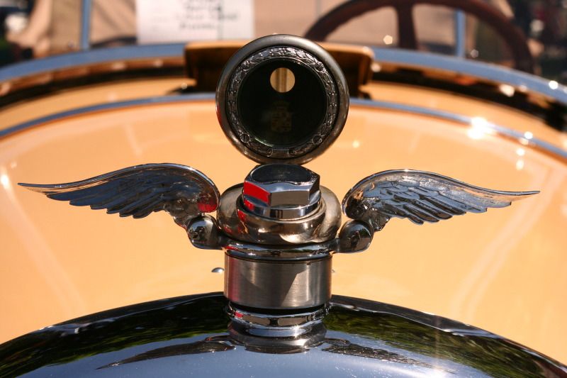 IMAGE: http://i22.photobucket.com/albums/b313/SRT101/Cars/IMG_0656.jpg