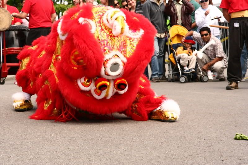 IMAGE: http://i22.photobucket.com/albums/b313/SRT101/Chinese%20Lion%20Dance/IMG_7985.jpg