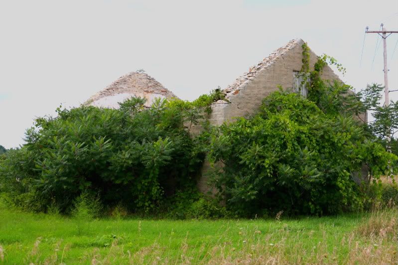 IMAGE: http://i22.photobucket.com/albums/b313/SRT101/Deserted%20Buildings/IMG_7116-1.jpg