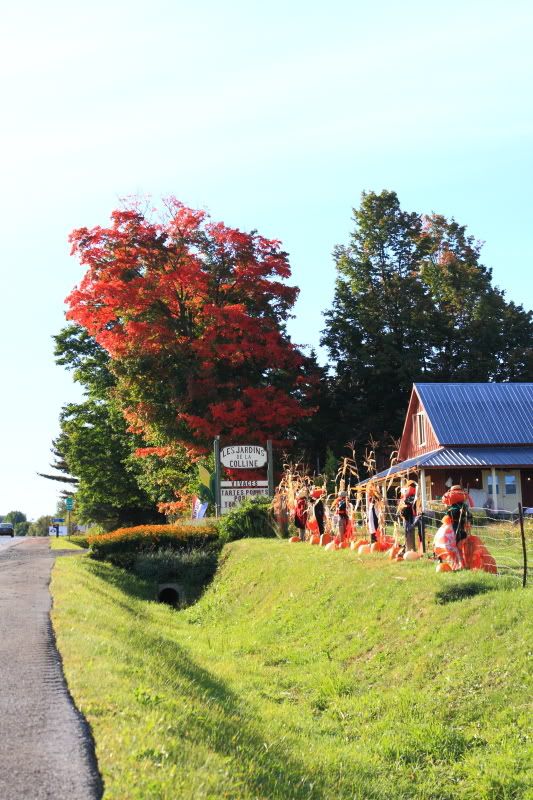 IMAGE: http://i22.photobucket.com/albums/b313/SRT101/Halloween/IMG_3183.jpg