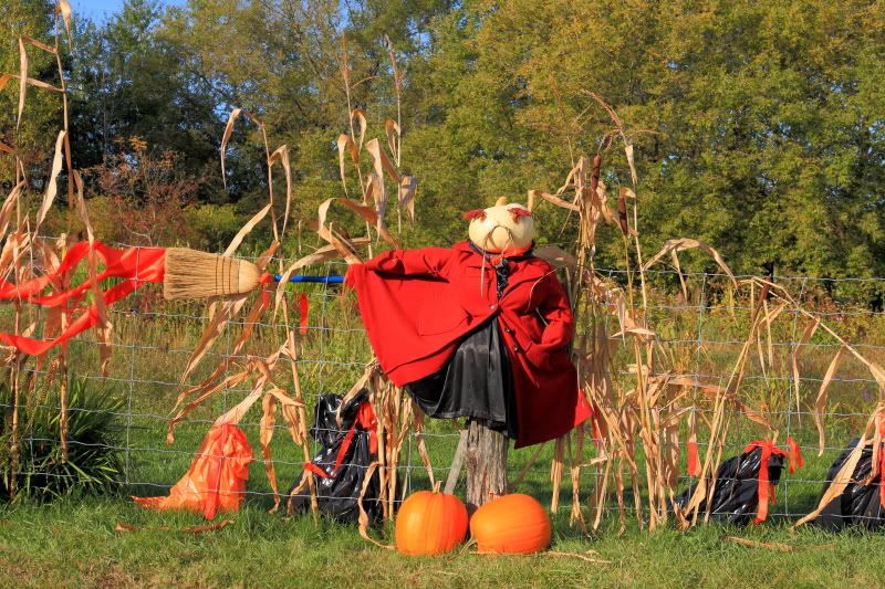 IMAGE: http://i22.photobucket.com/albums/b313/SRT101/Halloween/IMG_3192.jpg