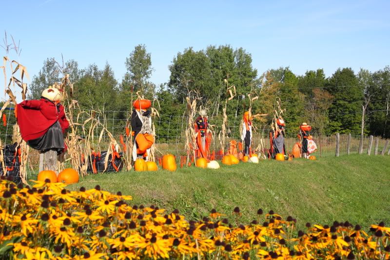 IMAGE: http://i22.photobucket.com/albums/b313/SRT101/Halloween/IMG_3193.jpg