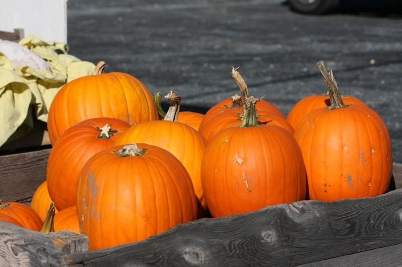 IMAGE: http://i22.photobucket.com/albums/b313/SRT101/IMG_2563_zpsec69319a.jpg