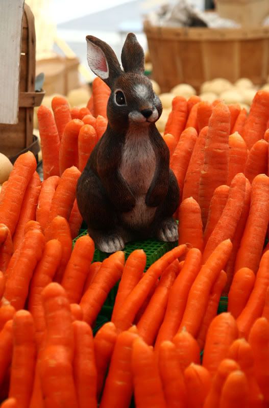 IMAGE: http://i22.photobucket.com/albums/b313/SRT101/IMG_6360.jpg