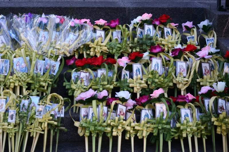 IMAGE: http://i22.photobucket.com/albums/b313/SRT101/PalmSundayatNotreDameChurch.jpg