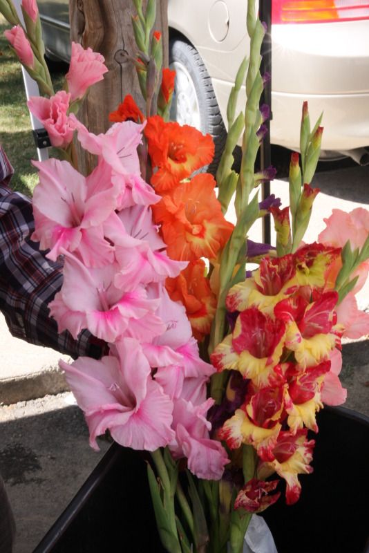 IMAGE: http://i22.photobucket.com/albums/b313/SRT101/Photobucket%20Desktop%20-%20FOUNTAIN/IMG_8467.jpg