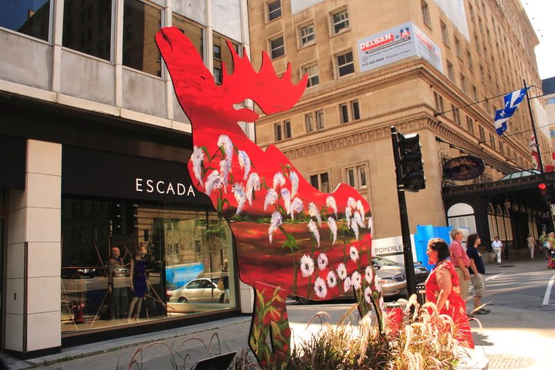 IMAGE: http://i22.photobucket.com/albums/b313/SRT101/Street%20Art/Moose03.jpg