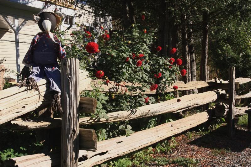 IMAGE: http://i22.photobucket.com/albums/b313/SRT101/Weekly%20Shots/IMG_2522-1_zps794d1871.jpg