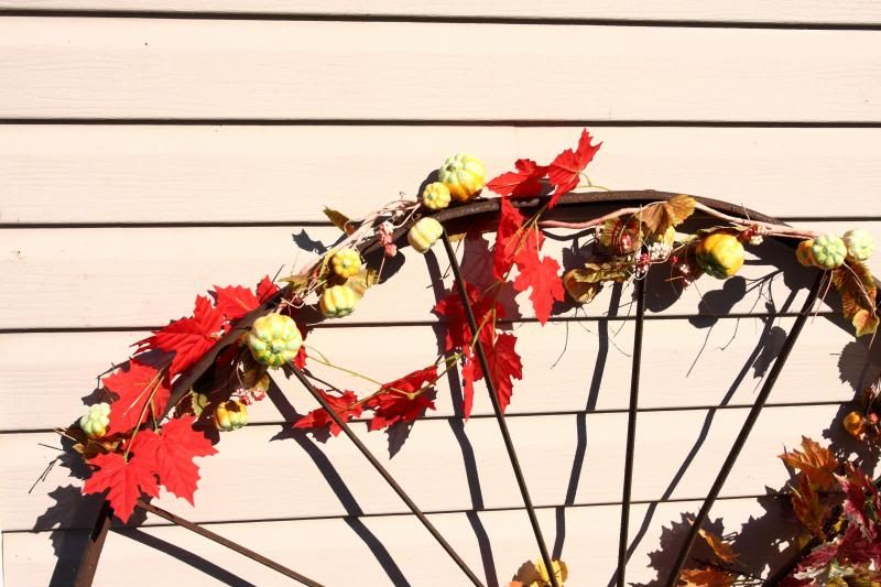 IMAGE: http://i22.photobucket.com/albums/b313/SRT101/Weekly%20Shots/IMG_2533-1_zpsfc1984ed.jpg