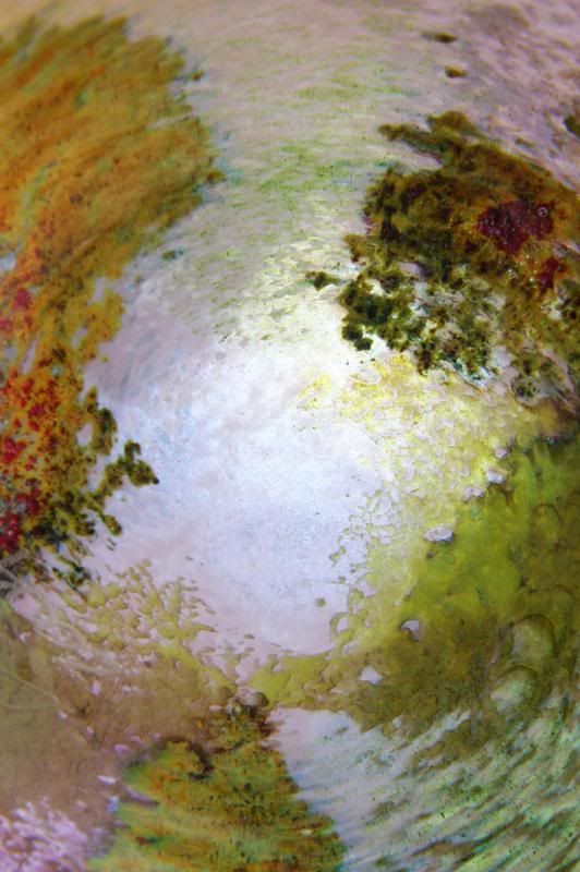 IMAGE: http://i22.photobucket.com/albums/b313/SRT101/Weekly%20Shots/IMG_3089_zps2f437b74.jpg