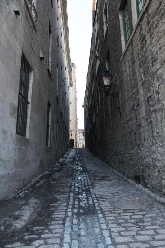 IMAGE: http://i22.photobucket.com/albums/b313/SRT101/Weekly%20Shots/IMG_3178_zps61d600e3.jpg