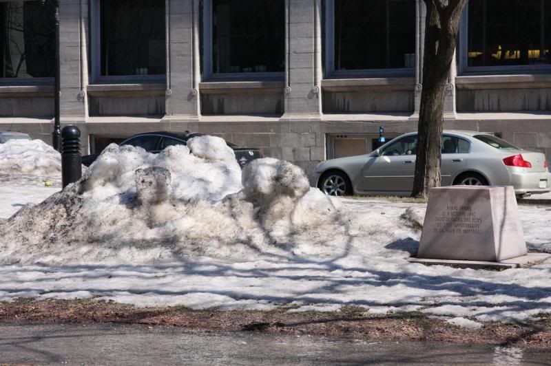 IMAGE: http://i22.photobucket.com/albums/b313/SRT101/Weekly%20Shots/IMG_3186_zpsd0e900a8.jpg