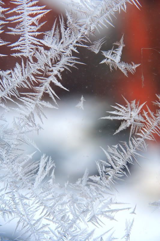 IMAGE: http://i22.photobucket.com/albums/b313/SRT101/Winter/IMG_9511-1.jpg