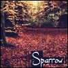 Sparrow Avatar