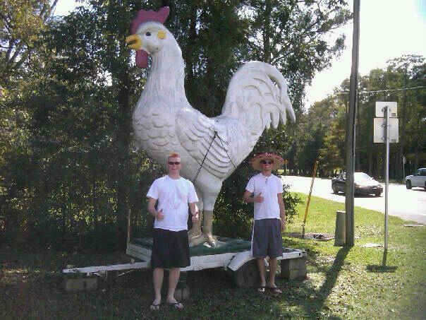 Cock.jpg