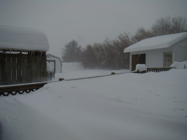 Please, someone send an new pic of the day thread! - Homesteading Questions