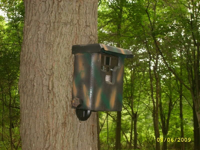 Homemade trail camera security box Page 2