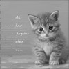 forgotten.gif