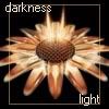 light.jpg